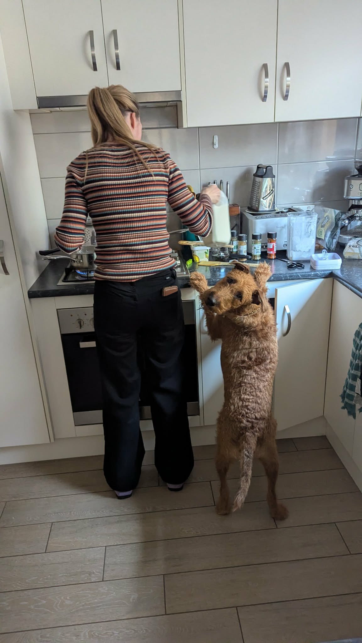 Woman cooking in a kitchen while a dog stands on its hind legs beside her